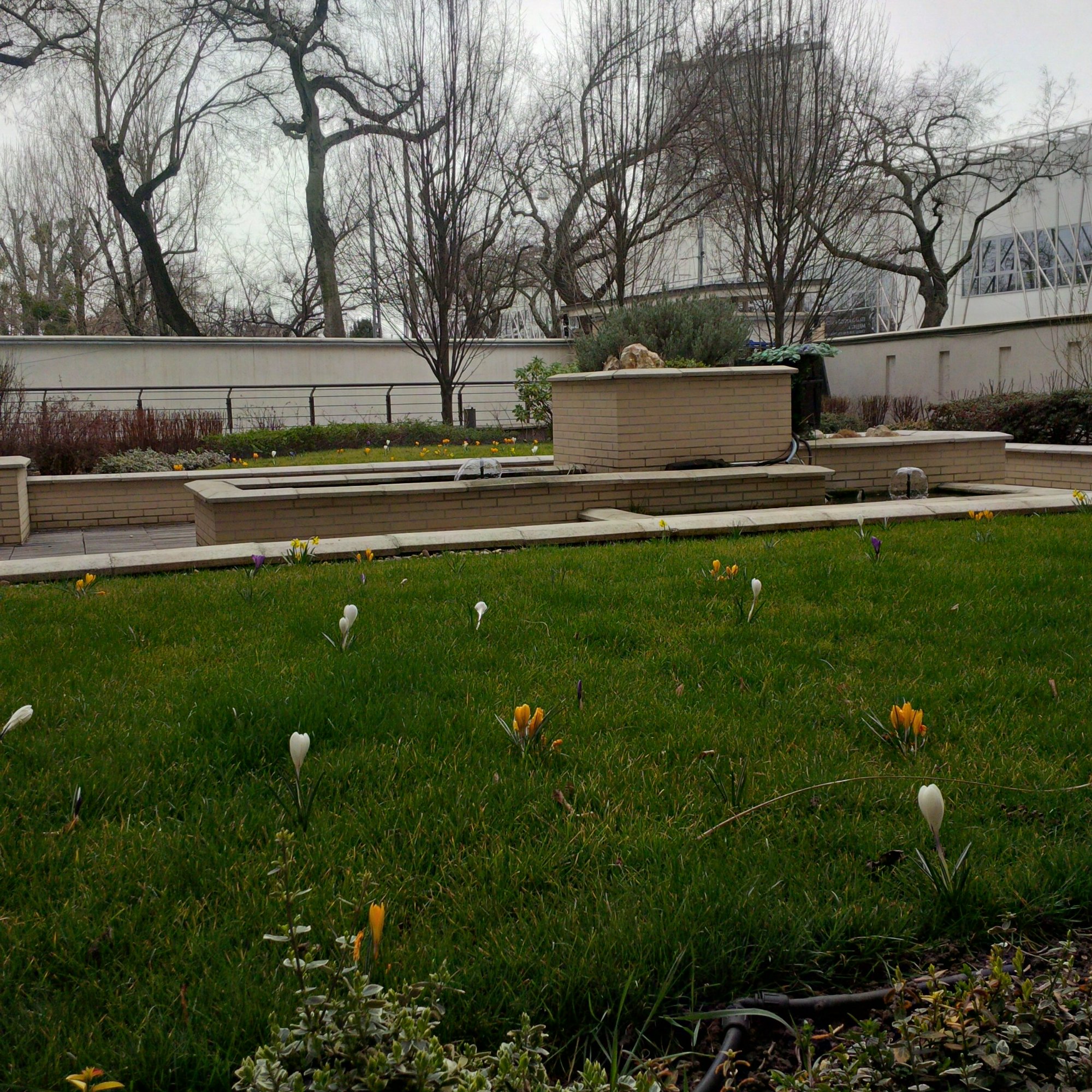 Inner courtyard garden in spring