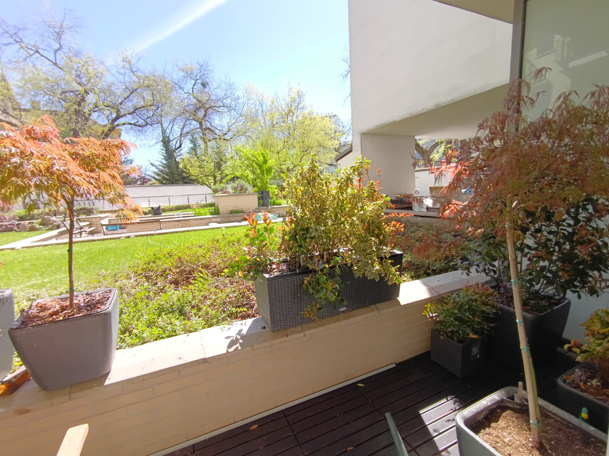 Terrace with garden view and blue sky