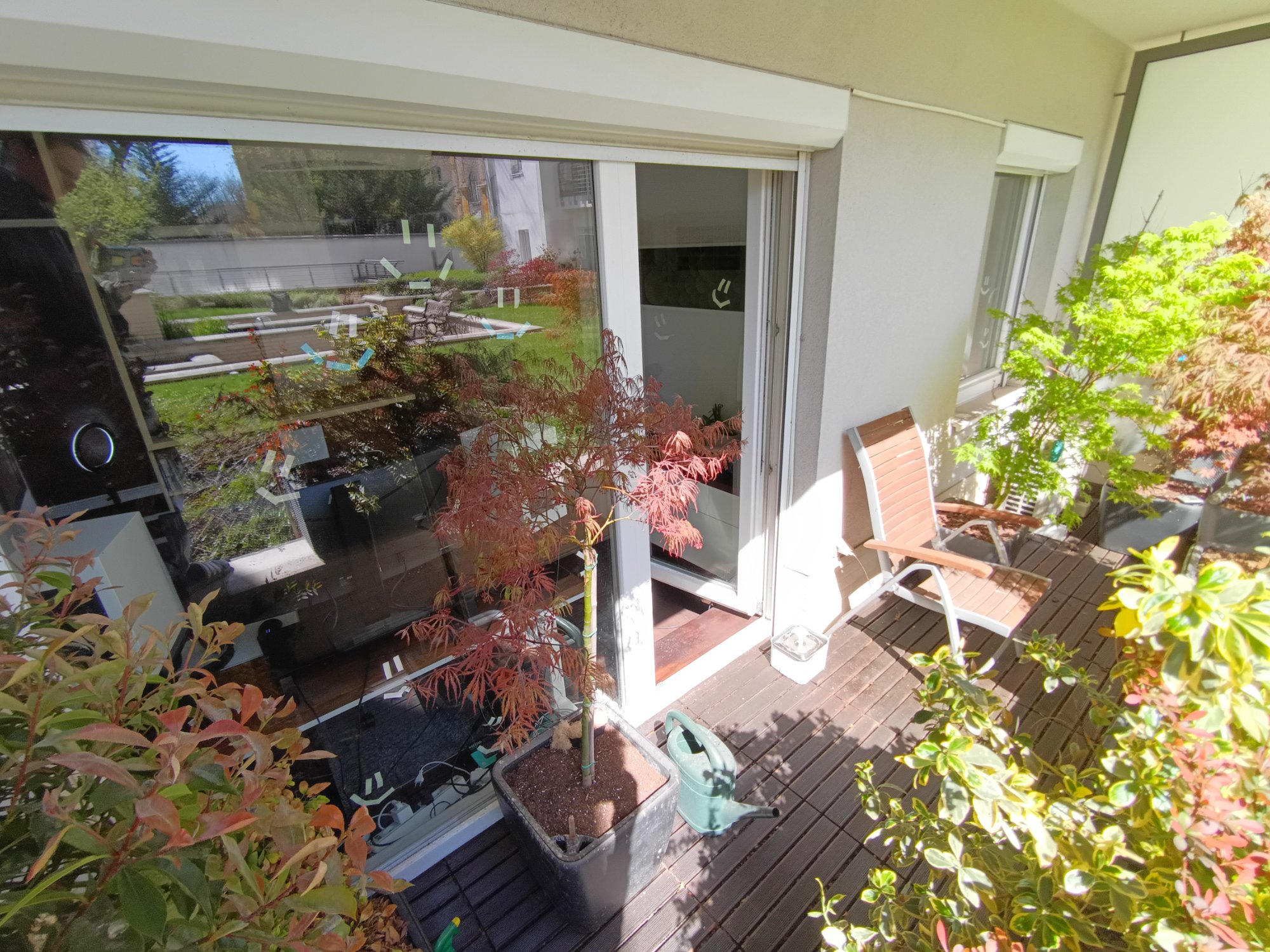 Terrace with red Japanese maple and garden chair